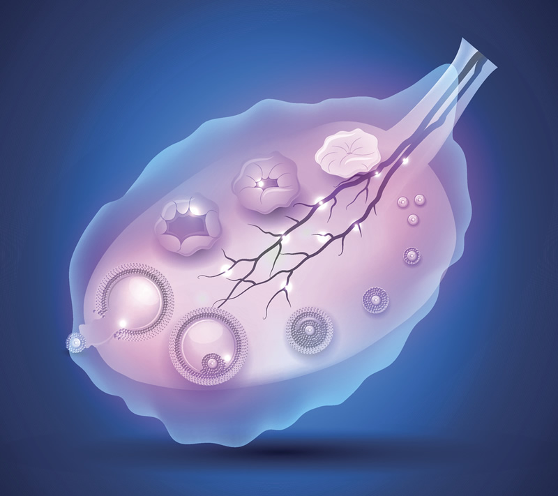 2026年在上海同济医院做三代试管婴儿大概需要多少钱？